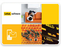 ��������� ���� ������� IBM Domino/Notes 9 � IBM Connections 4.5